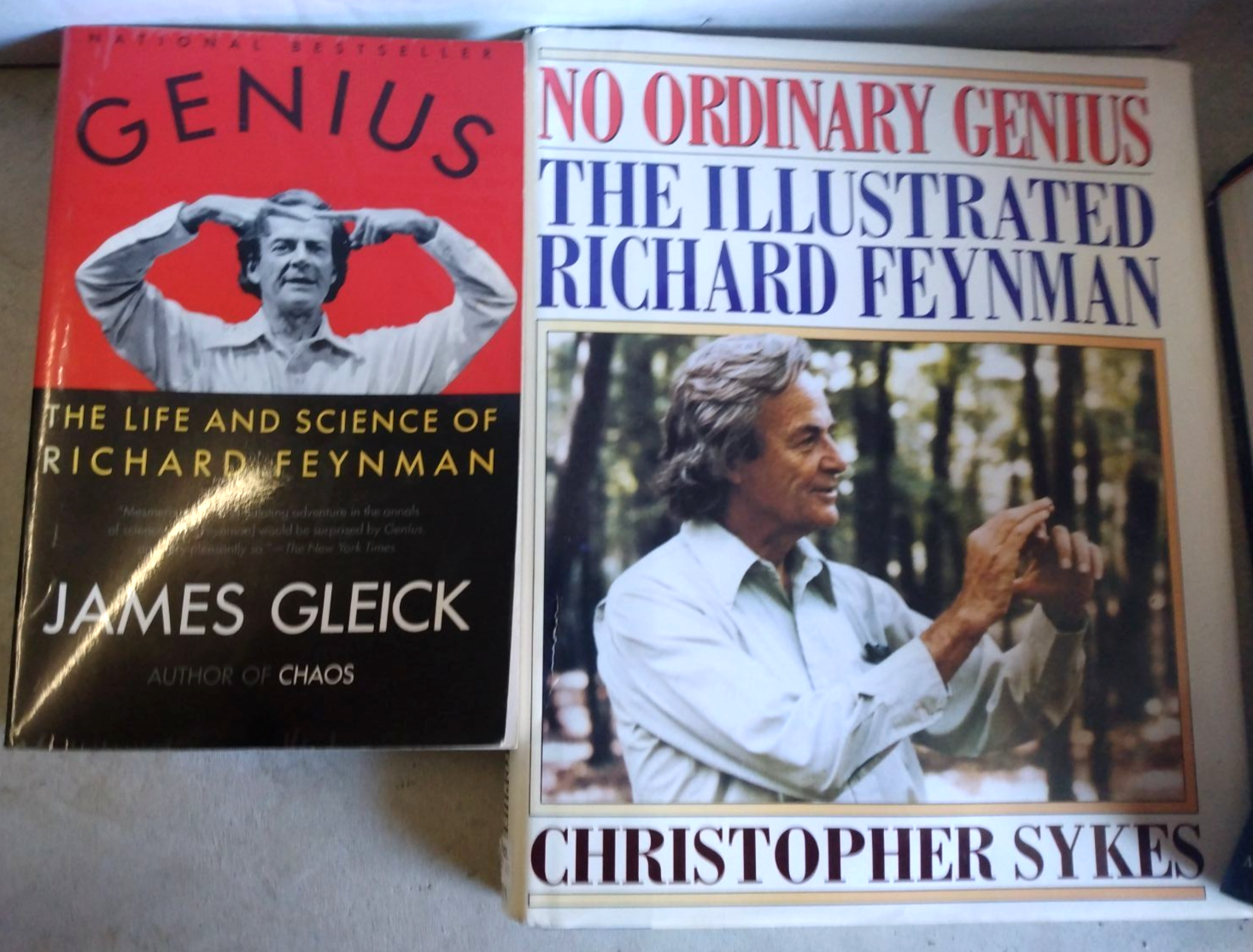 📚 No Ordinary Genius: Illustrated Richard Feynman + Gleick's Bio, FREE Shippin