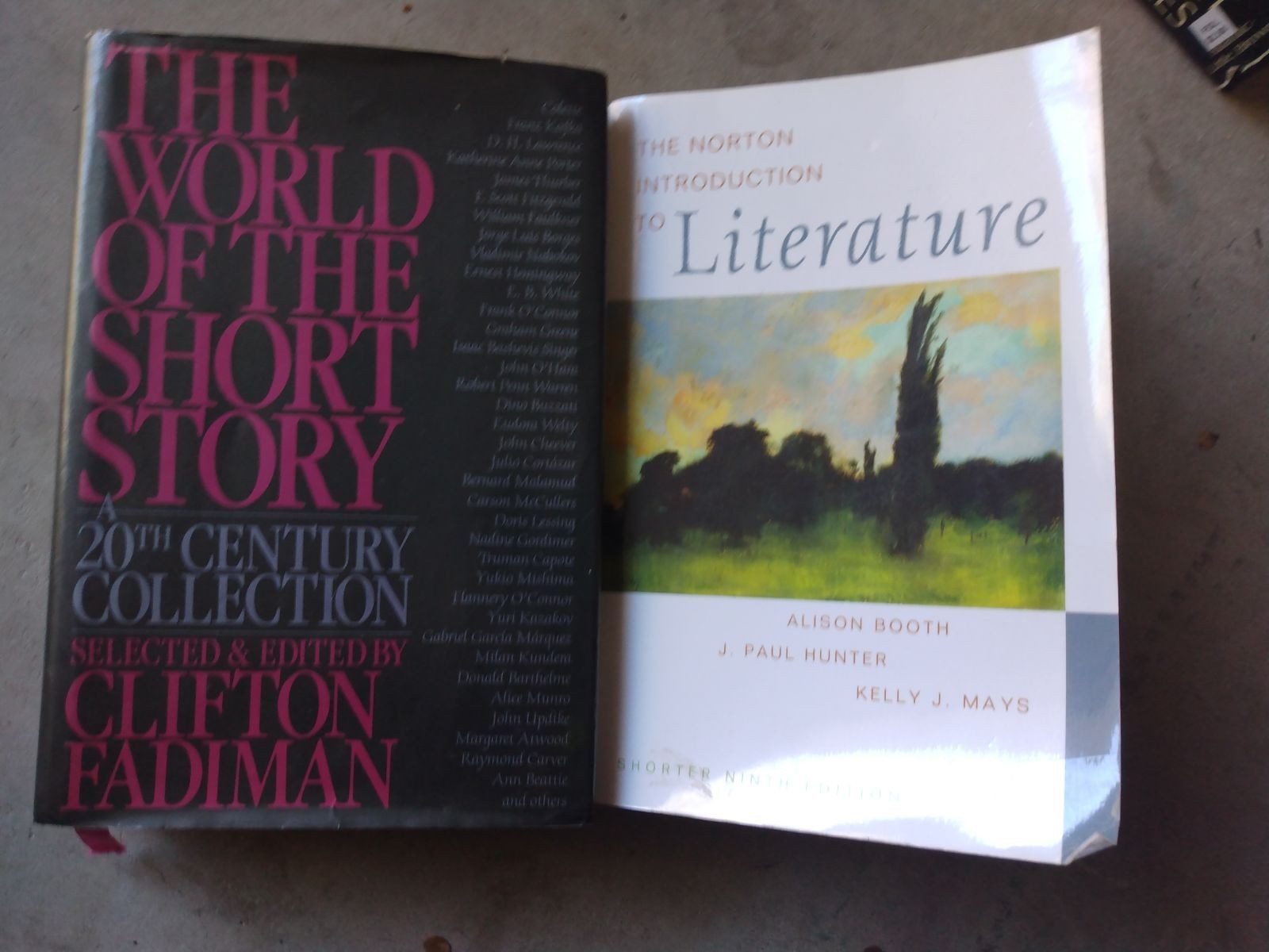 Literature Anthology Book Lot (2) – Norton Introduction to Literature & World of