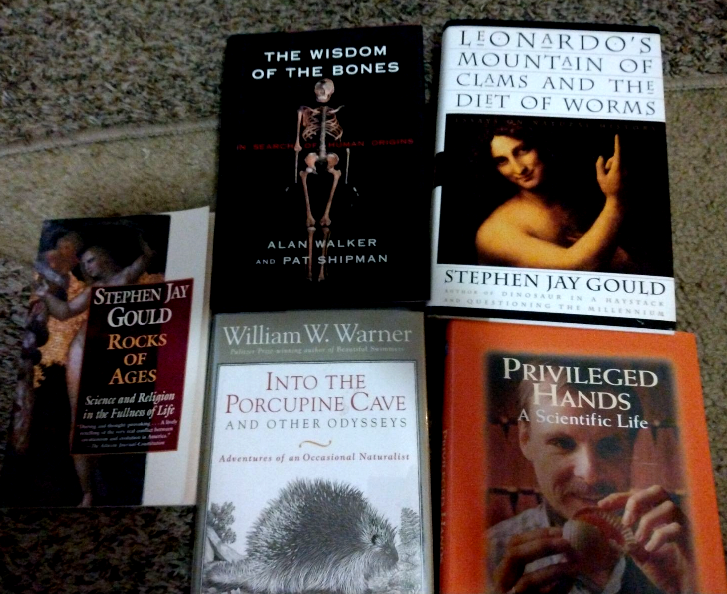 Natural History Lot - Stephen Jay Gould,  Vermeij  - FREE Shipping